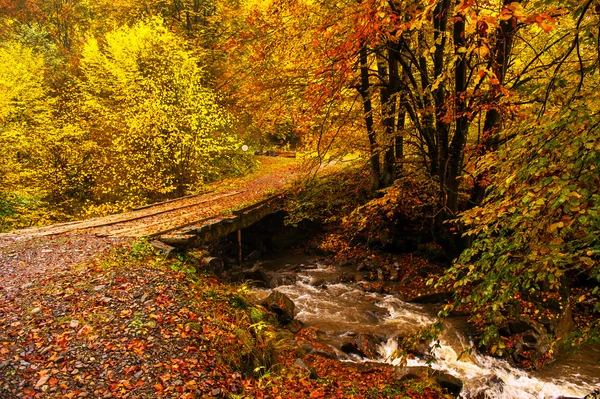 Podzimní krajina — Stock fotografie