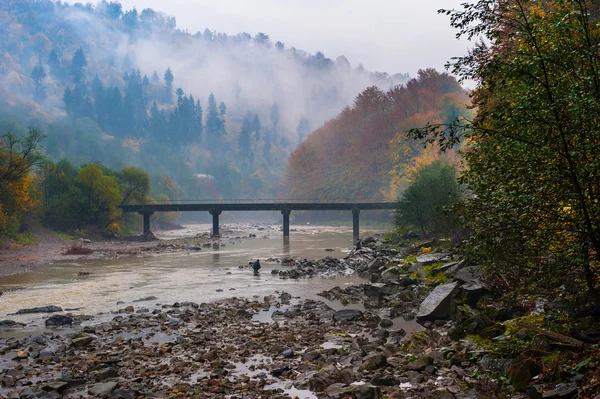 Landscape — Stock Photo, Image