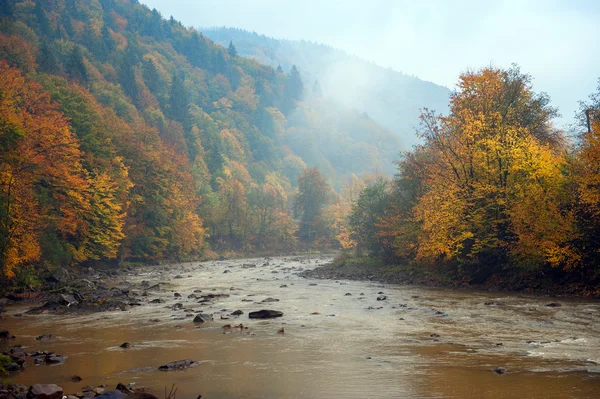 Höstlandskap — Stockfoto