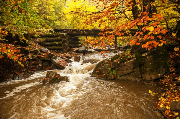 Paisaje otoñal — Foto de Stock