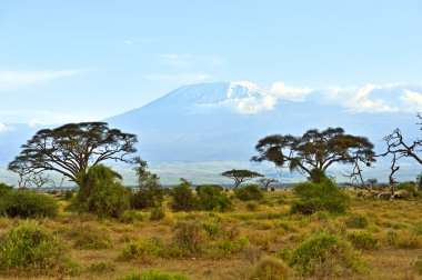  kilimanjaro Dağı 