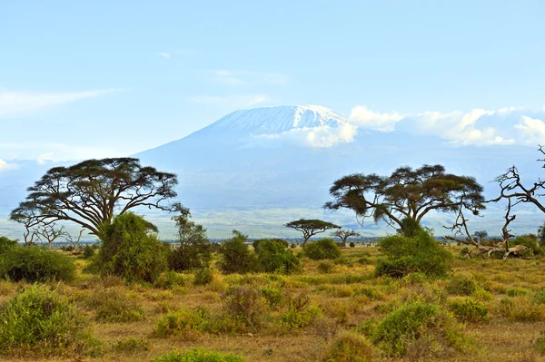 Mount Kilimanjaro — Stockfoto