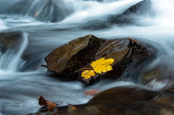 Podzimní krajina — Stock fotografie