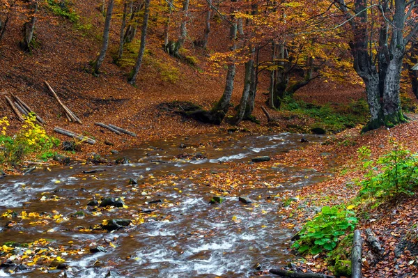 Podzimní krajina — Stock fotografie