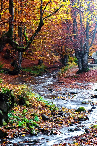 Sonbahar manzarası — Stok fotoğraf