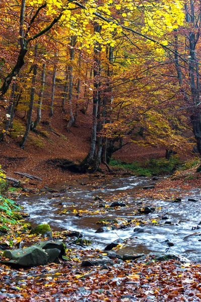 Höstlandskap — Stockfoto