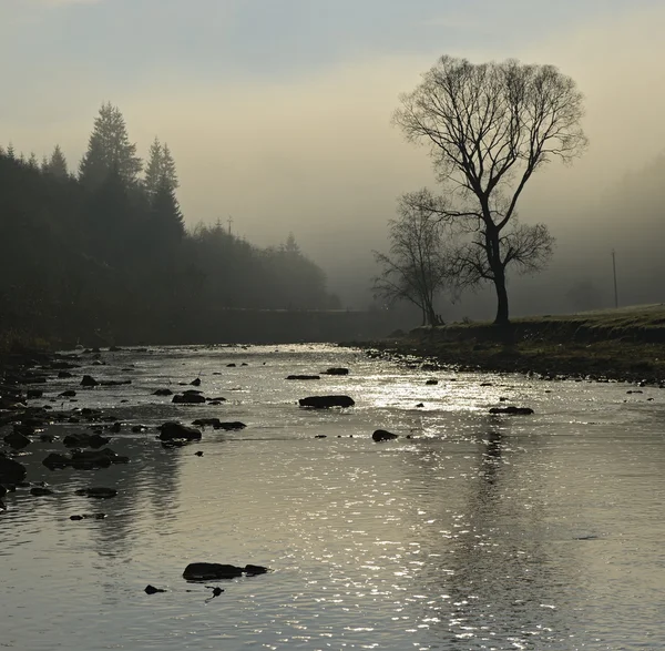 Mountain River in the Carpathians — Stock Photo, Image