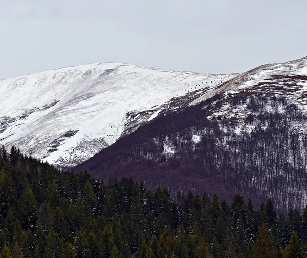 Landskap – stockfoto