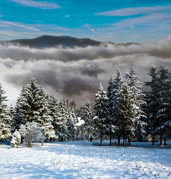 Ein frostiger Tag liegt in den Bergen — Stockfoto