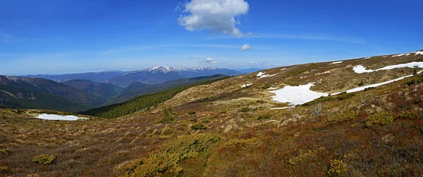 Karpatische berglandschap — Stockfoto