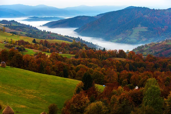 Осінній краєвид — стокове фото