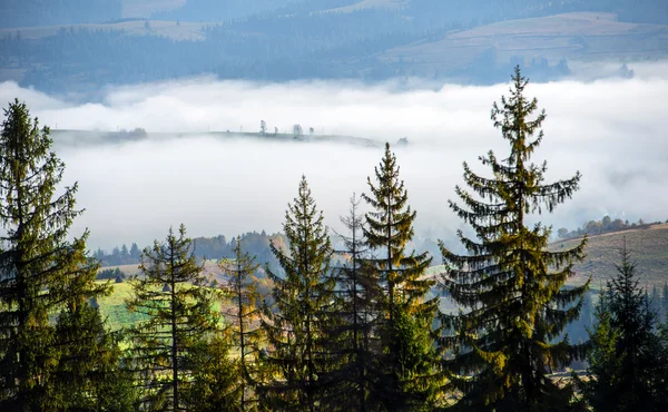 Autumn landscape — Stock Photo, Image