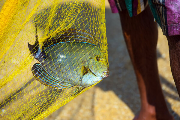 Sri Lanka