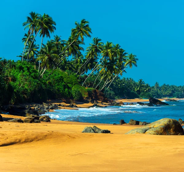 Sri Lanka — Foto Stock