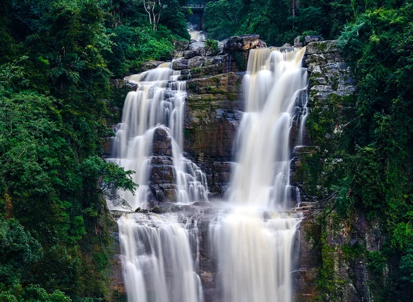 Sri Lanka — Photo