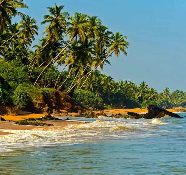 Sri Lanka — Foto de Stock