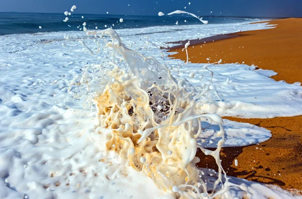 Sri Lanka — Foto Stock