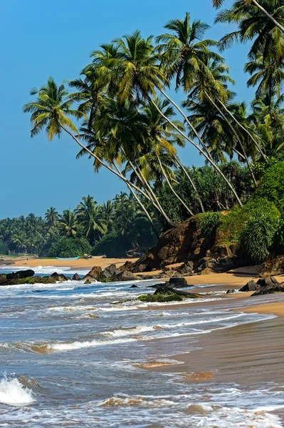 Sri lanka — Stockfoto