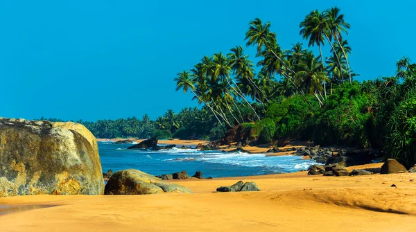 Sri Lanka — Stockfoto