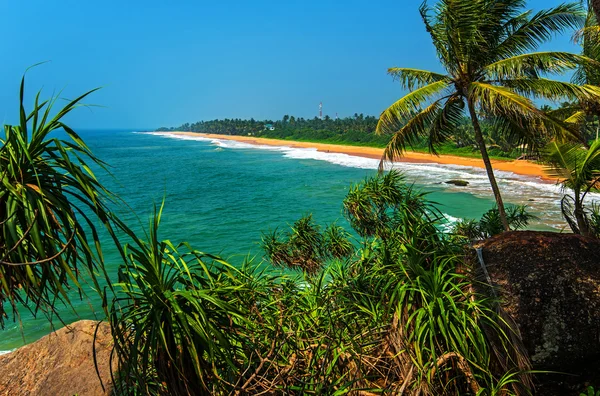 Sri Lanka — Stockfoto