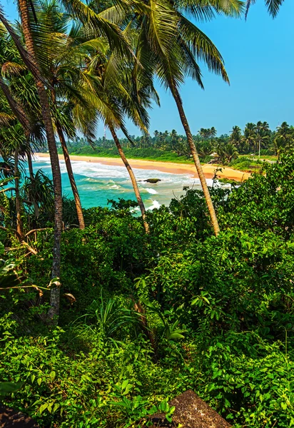 Sri Lanka — Stockfoto