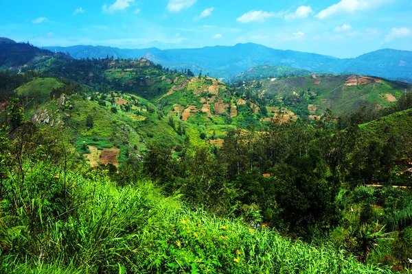 Sri Lanka — Stock Photo, Image