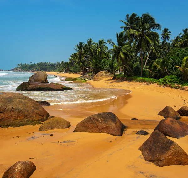 Шри-Ланка — стоковое фото