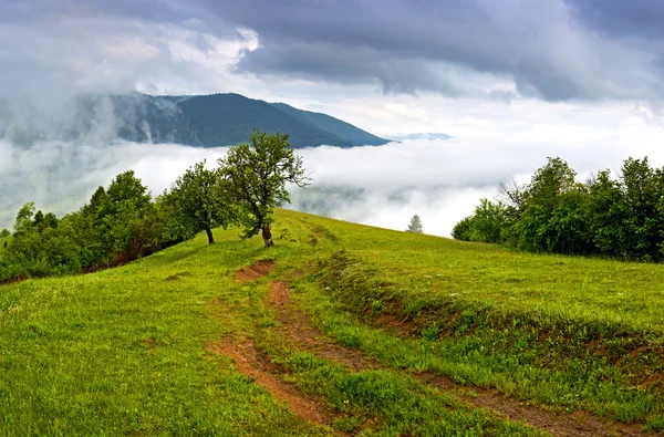 Viaje a lo largo de las cordilleras en primavera — Foto de Stock