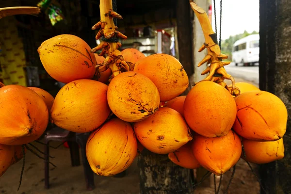 Sri Lanka — Stock Photo, Image