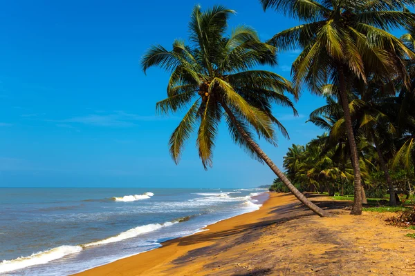 Sri Lanka — Fotografia de Stock