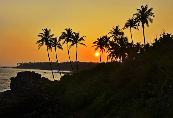 Sri Lanka — Stockfoto