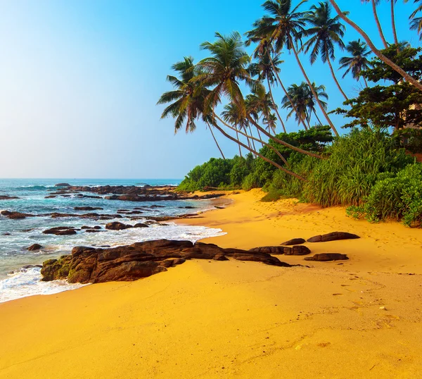 Sri Lanka —  Fotos de Stock