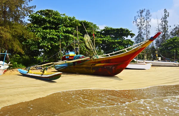 Sri Lanka — Stok fotoğraf