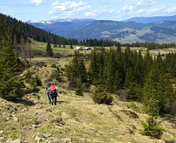 Mountain Carpathian landscape — Stock Photo, Image