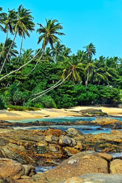 Sri Lanka — Fotografia de Stock