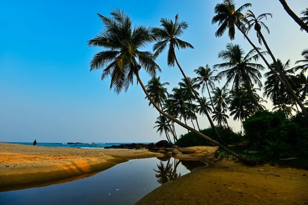 Srí lanka — Stock fotografie