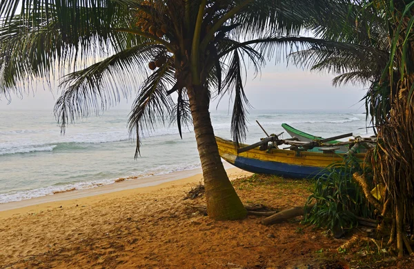 Sri Lanka — Stockfoto