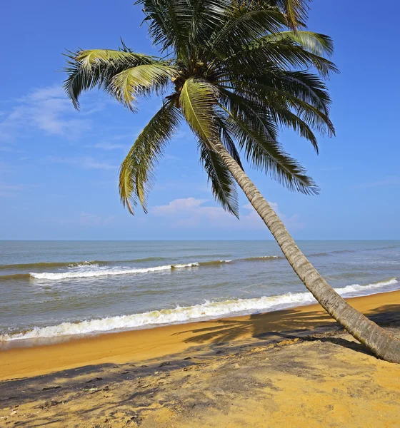 Sri Lanka — Fotografia de Stock