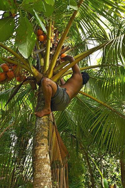 Sri Lanka