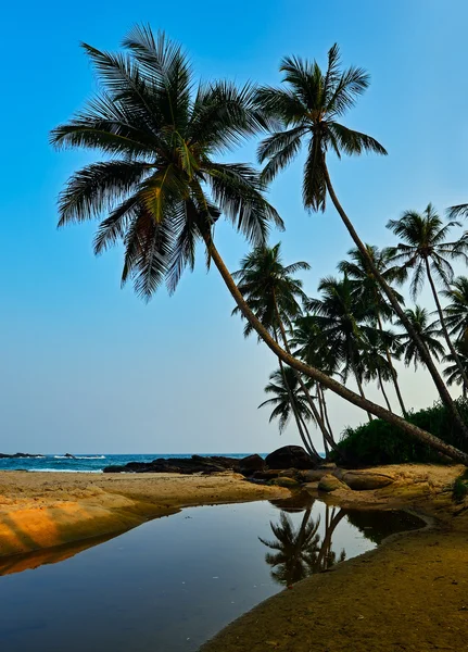 Sri Lanka — Fotografia de Stock