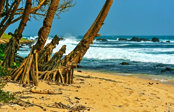 Sri Lanka — Zdjęcie stockowe