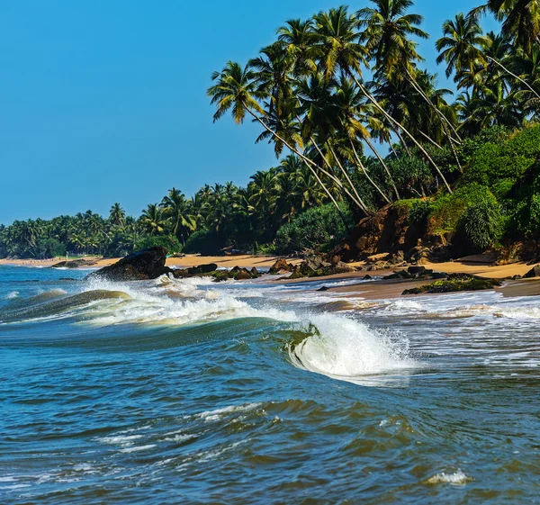 Sri Lanka — Fotografia de Stock