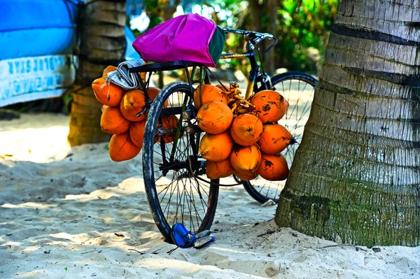 Sri Lanka — Fotografia de Stock