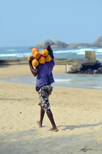 Sri lanka — Stockfoto