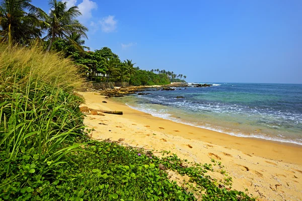 Sri lanka — Stockfoto