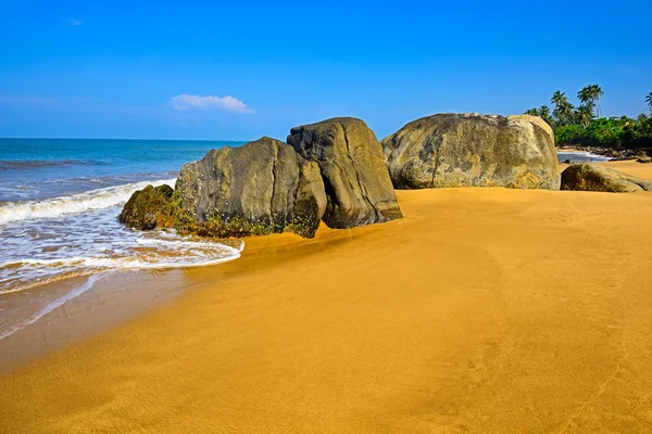 Sri Lanka — Fotografia de Stock