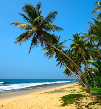 Sri Lanka