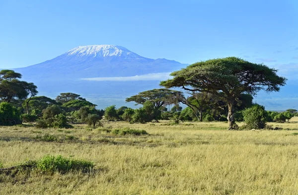 Monte Kilimanjaro — Foto de Stock