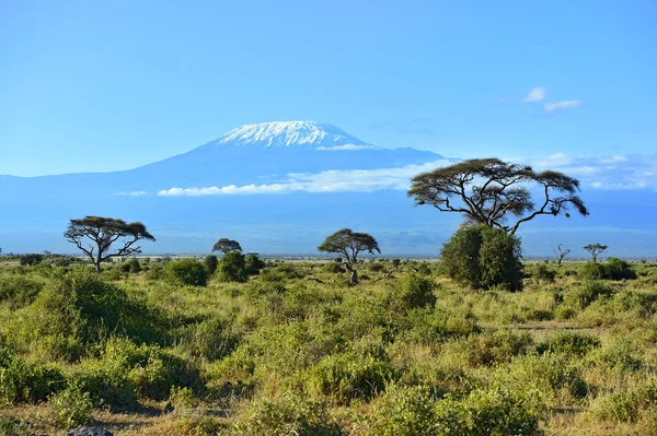 Monte Kilimanjaro — Fotografia de Stock