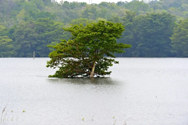 Landscape — Stock Photo, Image